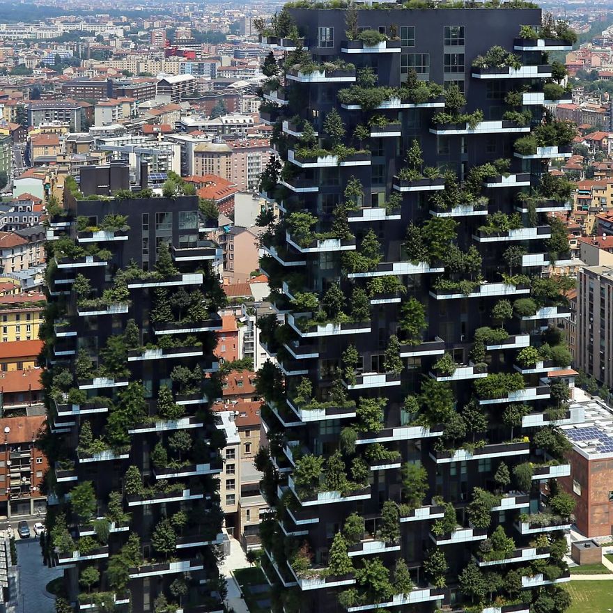 vertical forest
