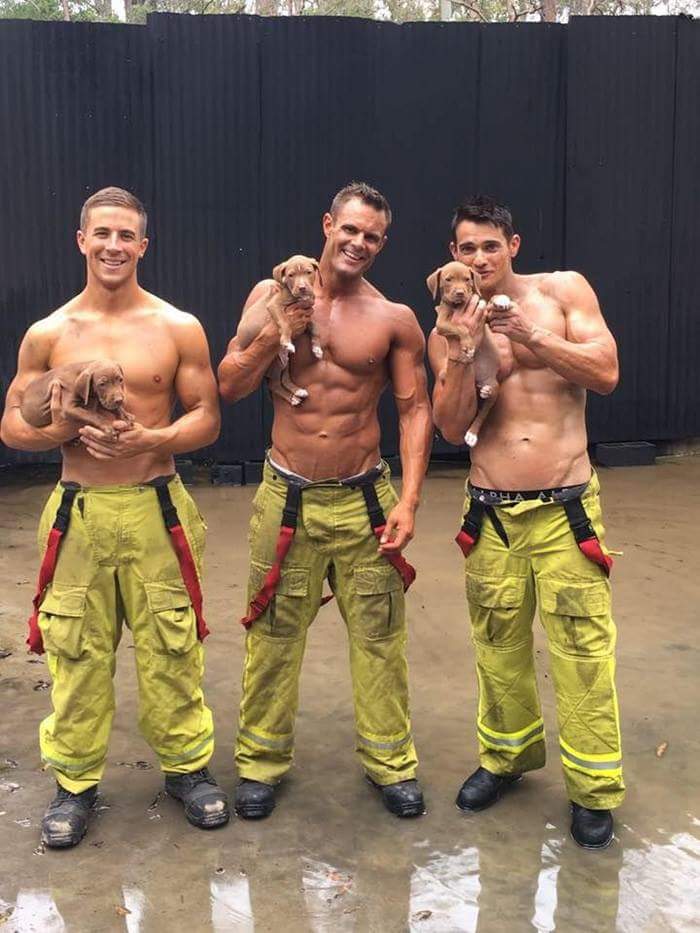 hot firefighters