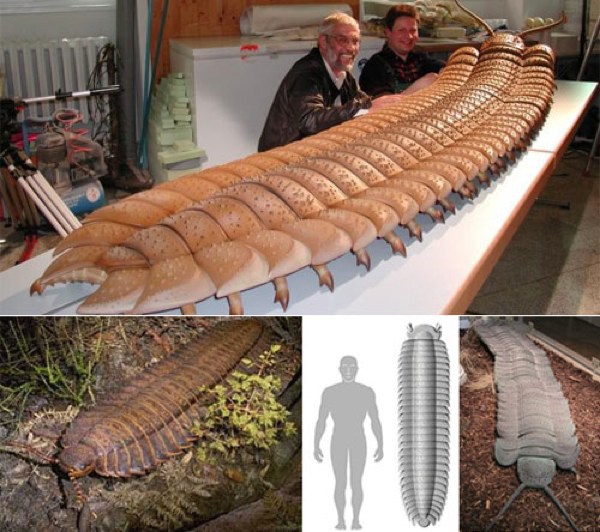 giant prehistoric centipede - Hell