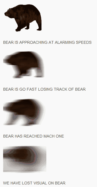 funny gif of bear going at different speeds
