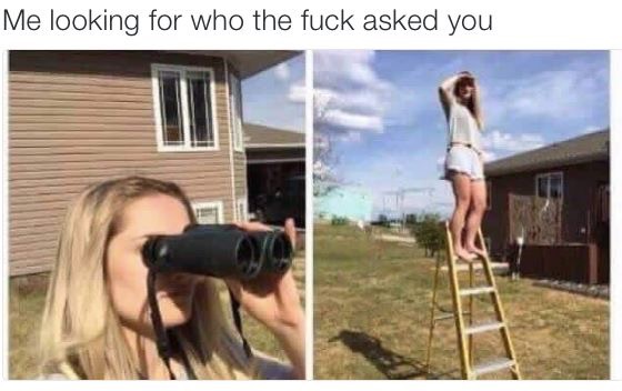 Funny picture of girl on a ladder looking for who the fuck asked you