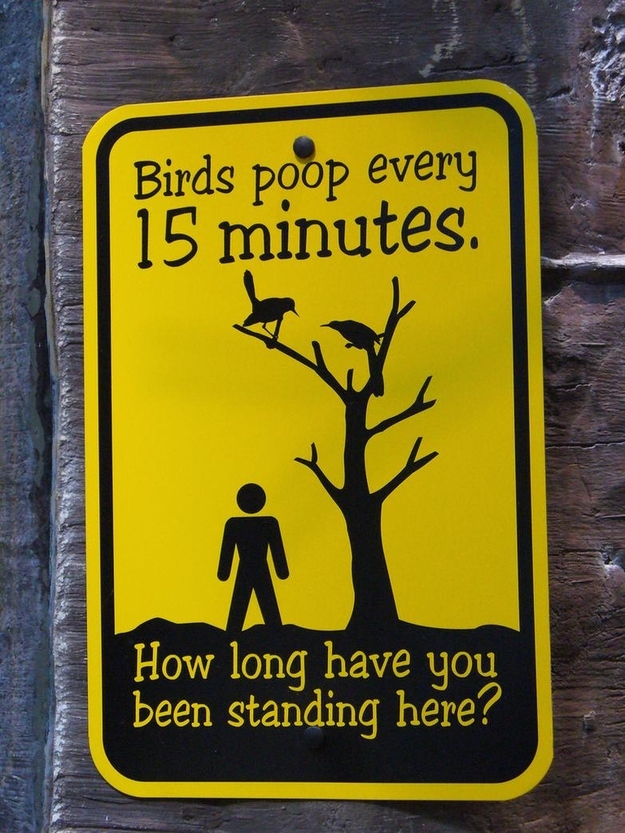 Funny picture of a sign that explains birds poop every 15 minutes and asking how long have you been standing here.