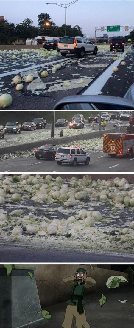funny picture of cabbage accident