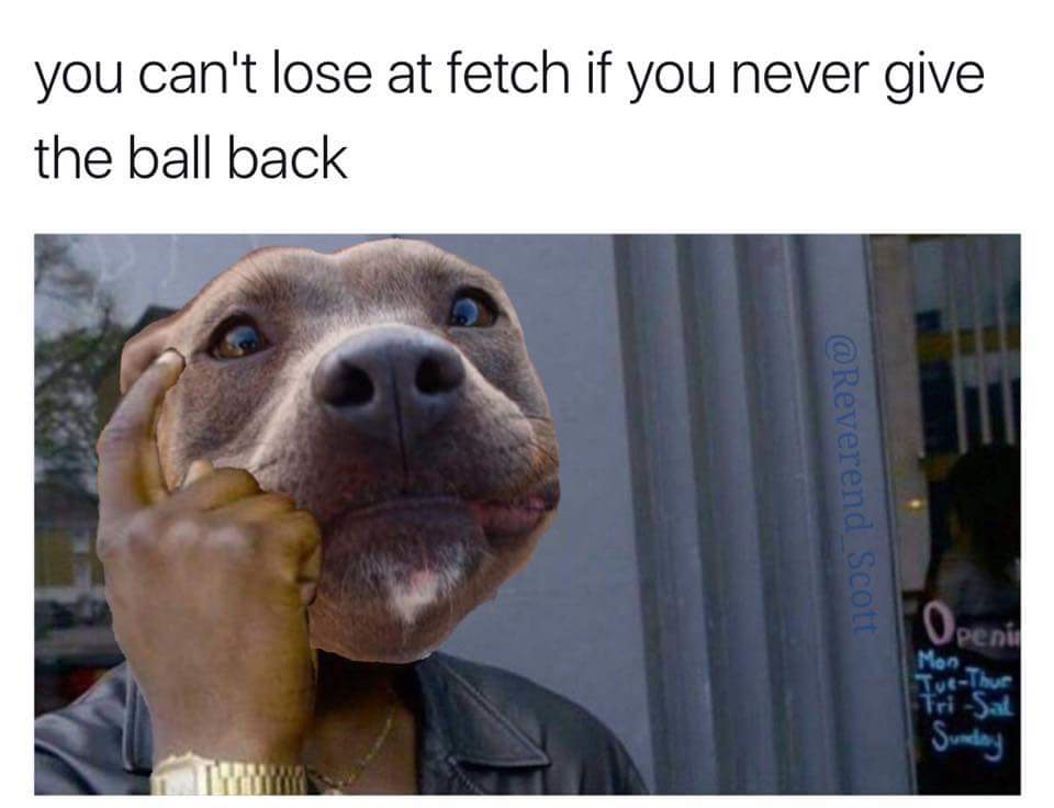 memes - you can t fuck up meme - you can't lose at fetch if you never give the ball back V peni Mon Tubur Tri Sat Sunday
