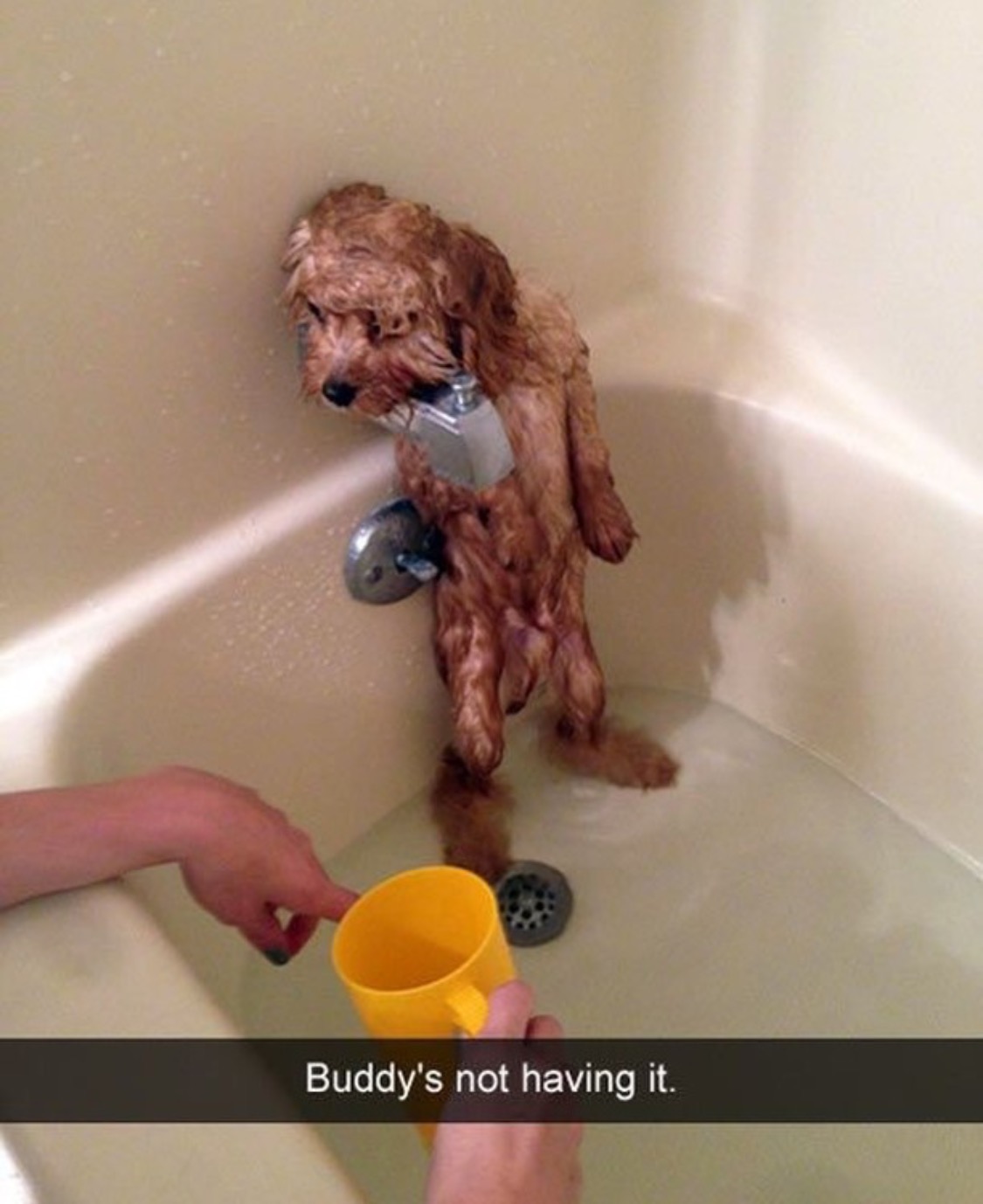 27 Great Pics to Improve Your Mood