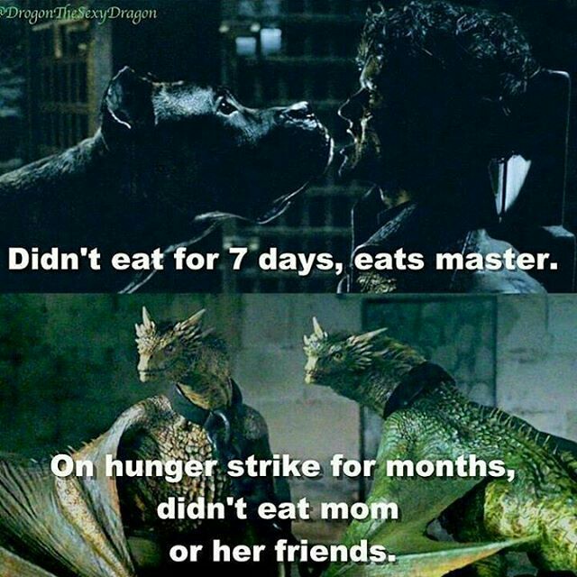 dragon meme mom - Drogon Thesexy Dragon Didn't eat for 7 days, eats master. on hunger strike for months, didn't eat mom or her friends.