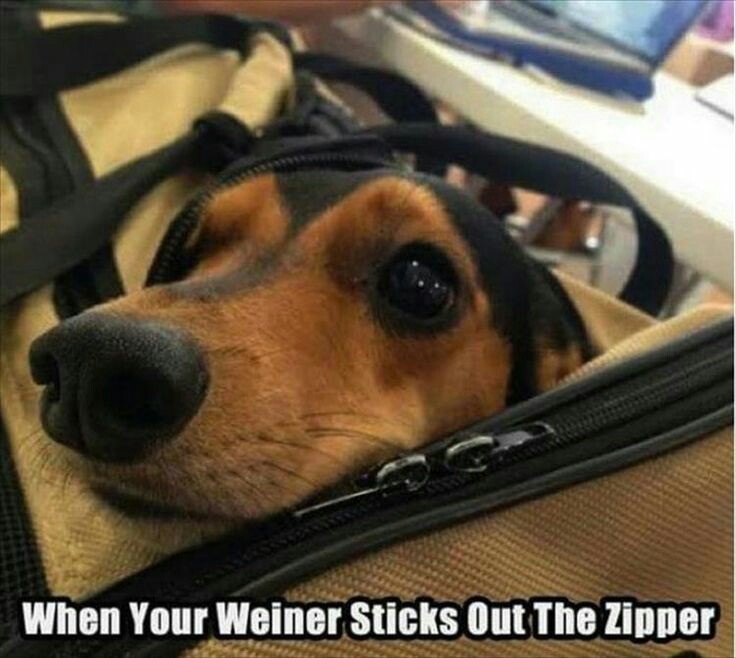 success kid meme - When Your Weiner Sticks Out The Zipper