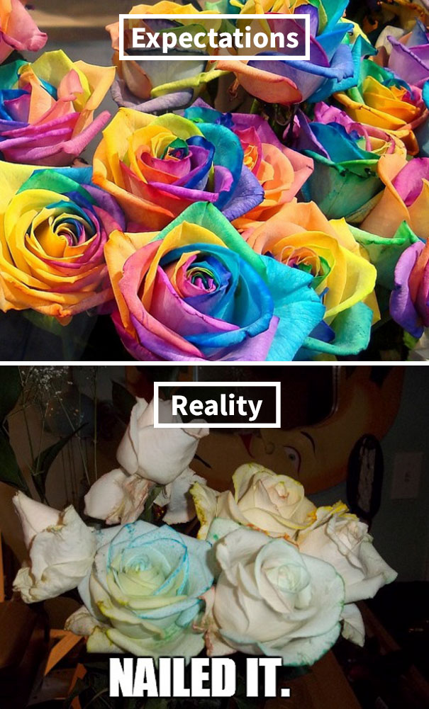 rainbow roses - Expectations Reality Nailed It.