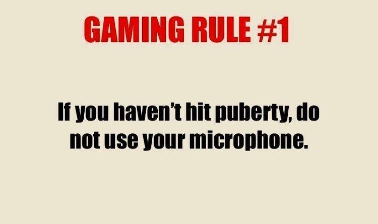can do anything - Gaming Rule If you haven't hit puberty, do not use your microphone.