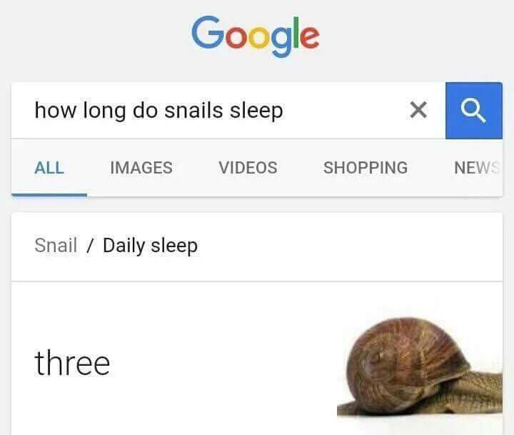 long does meme - Google how long do snails sleep All Images Videos Shopping News Snail Daily sleep three