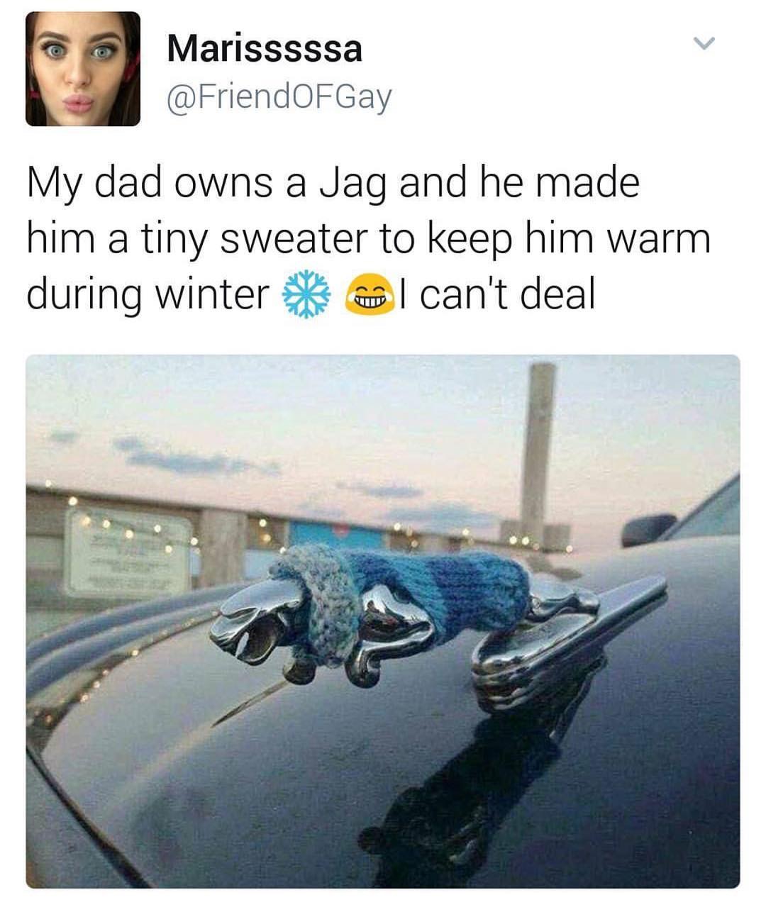 jaguar car meme - Marisssssa My dad owns a Jag and he made him a tiny sweater to keep him warm during winter al can't deal