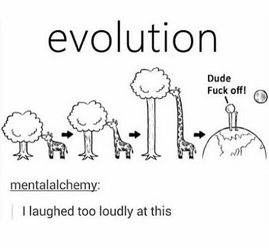 funny evolution - evolution Dude Fuck off! mentalalchemy | I laughed too loudly at this