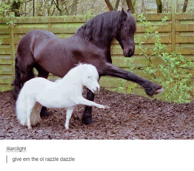 lil horse - iiiarclight give em the ol razzle dazzle