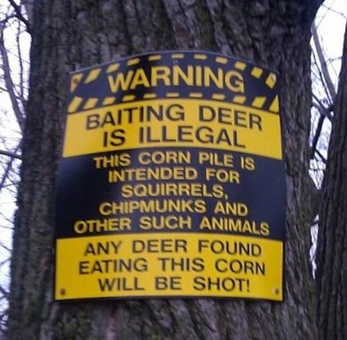 baiting deer is illegal funny sign - Warning Baiting Deer Is Illegal This Corn Pile Is Intended For Squirrels Chipmunks And Other Such Animals Any Deer Found Eating This Corn Will Be Shot!