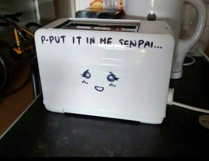 put it in me senpai toaster - PPut It In Me Senpai...