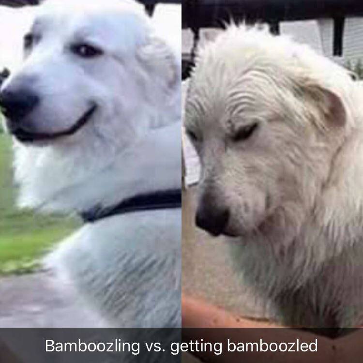 bamboozling vs being bamboozled - Bamboozling vs. getting bamboozled