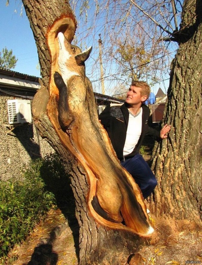 fox made of wood - 11 451551591 pikabu.ru