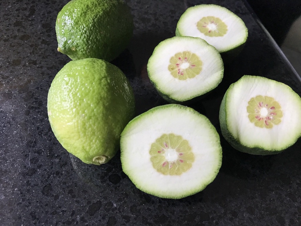infuriating kiwifruit
