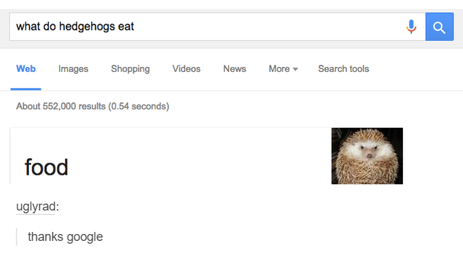 screenshot - what do hedgehogs eat Web Images Shopping Videos News More Search tools About 552,000 results 0.54 seconds food uglyrad thanks google