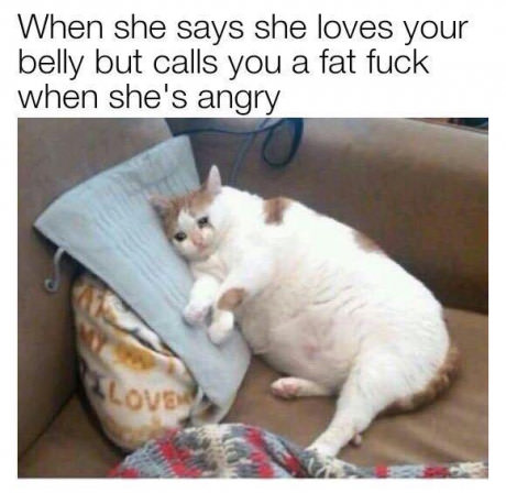 crying cat meme - When she says she loves your belly but calls you a fat fuck when she's angry