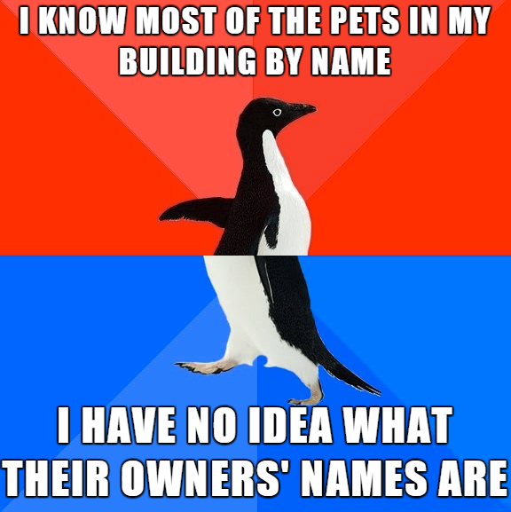 socially awkward penguin - I Know Most Of The Pets In My Building By Name I Have No Idea What Their Owners' Names Are