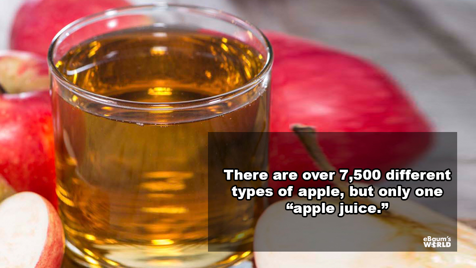 showerthoughts - juice apple - There are over 7,500 different types of apple, but only one apple juice." eBaum's World