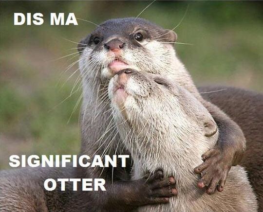 significant otter - Dis Ma Significant Otter
