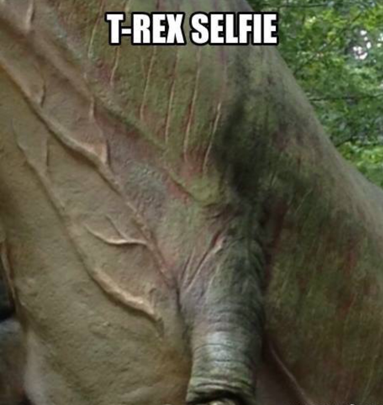 selfie t rex - TRex Selfie