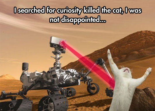 coolest thing on the internet - I searched for curiosity killed the cat, I was not disappointed...