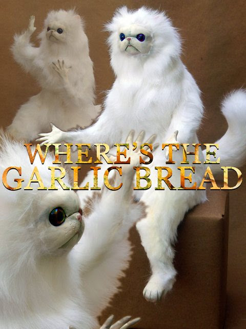 persian cat room guardian meme gif - Weyere'S The Garlic Bread