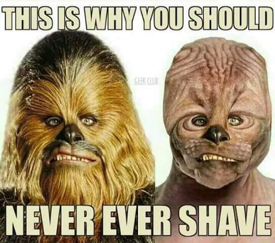 shaved chewbacca - This Is Why You Should Geen Que Never Ever Shave