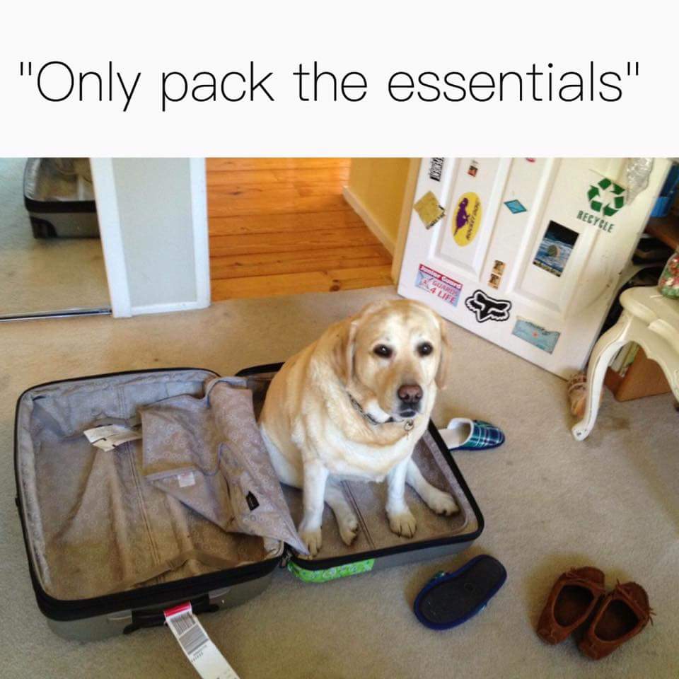 only pack the essentials dog - "Only pack the essentials" Recycle