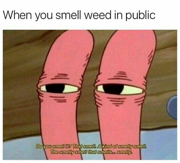 smell a smelly smell - When you smell weed in public Do you smell it? That smell. A kind of smelly smell. The smelly smell that smells... smelly