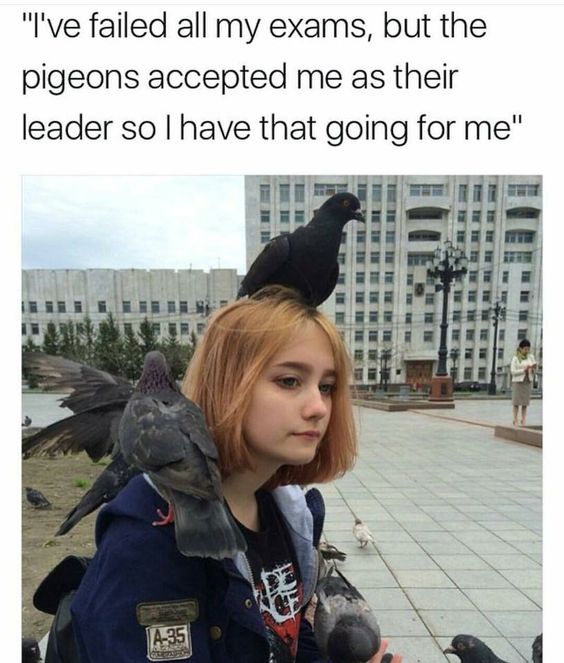 pigeon queen - "I've failed all my exams, but the pigeons accepted me as their leader so I have that going for me"
