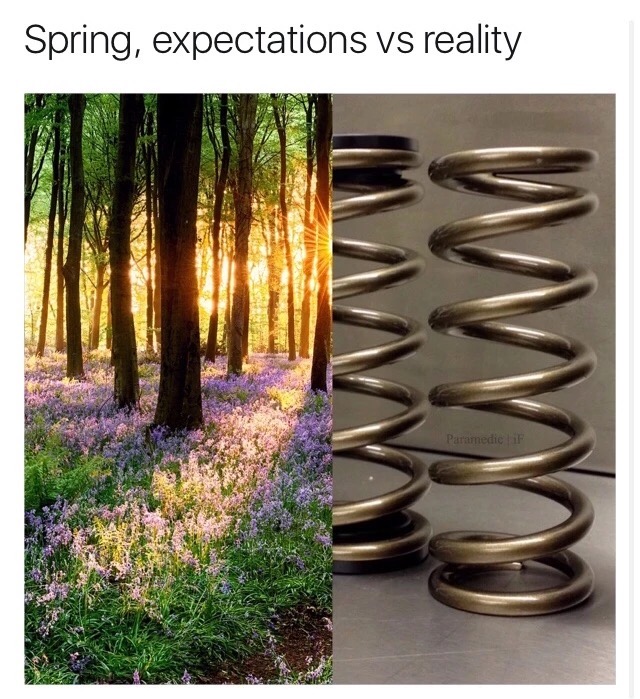 28 Great Pics And Memes to Improve Your Mood