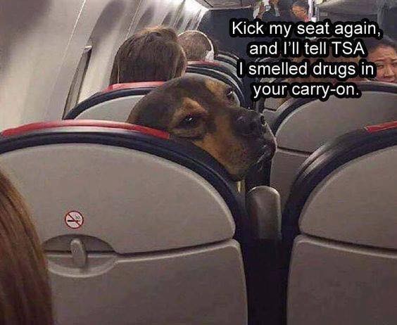 kick my seat again - Kick my seat again, and I'll tell Tsa smelled drugs in your carryon.