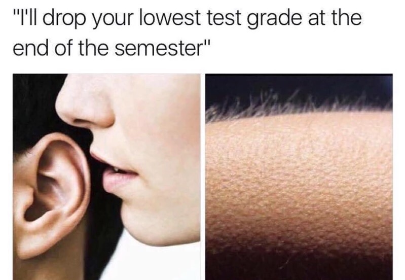 funny memes on college life - "I'll drop your lowest test grade at the end of the semester"