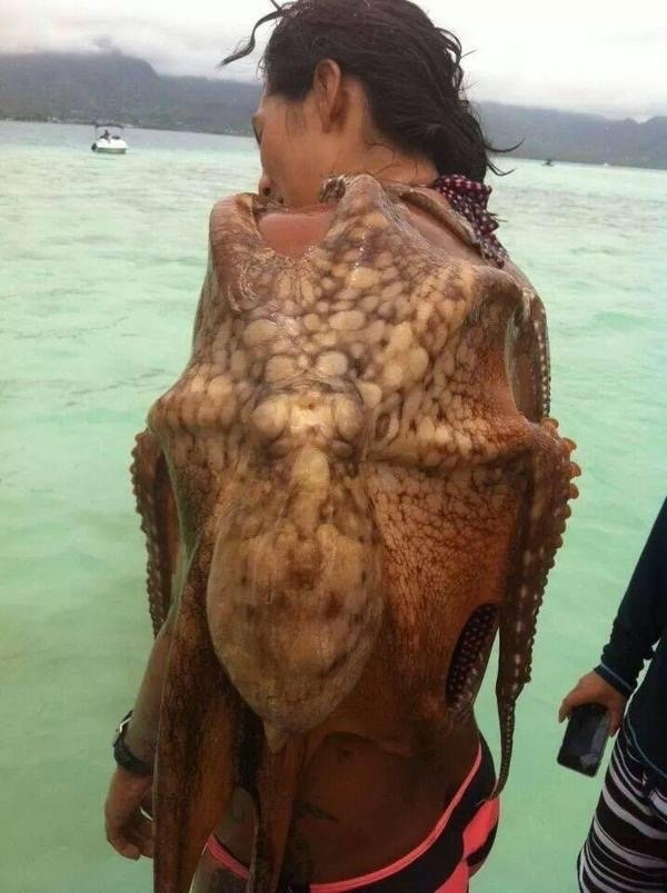 octopus on womans back