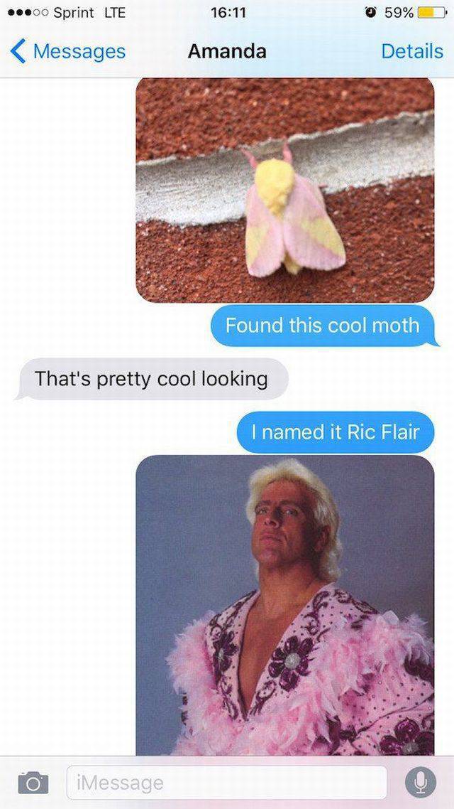 ric flair moth - ...00 Sprint Lte 59%