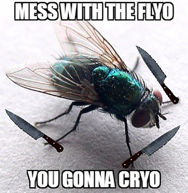 you mess - Mess With The Flyo You Gonna Cryo