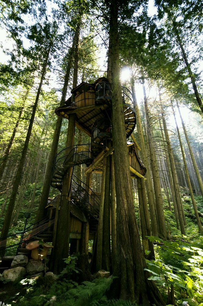 pretty tree house - Nede