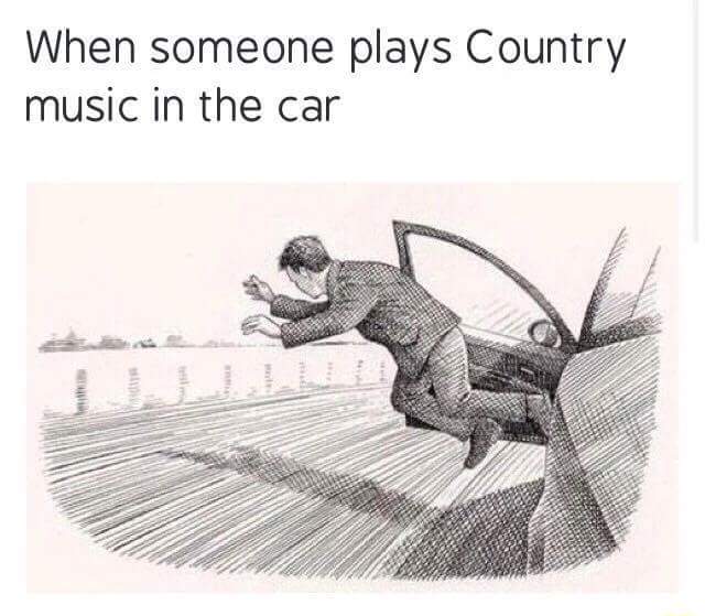 someone plays country music in the car - When someone plays Country music in the car