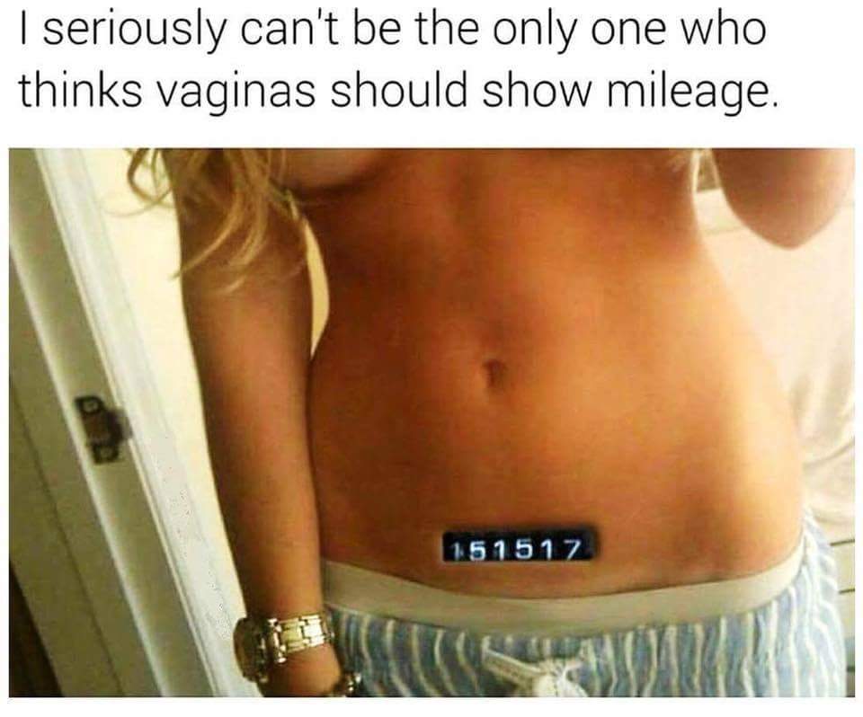 | seriously can't be the only one who thinks vaginas should show mileage. 1.51517