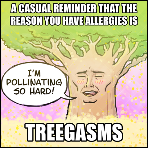 Fun fact meme about how your allergies are tree orgasms