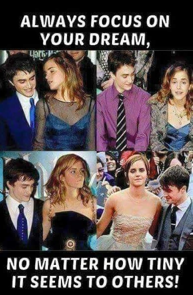 funny 4 panel meme of Daniel Radcliffe staring at Emma Watson's boobs