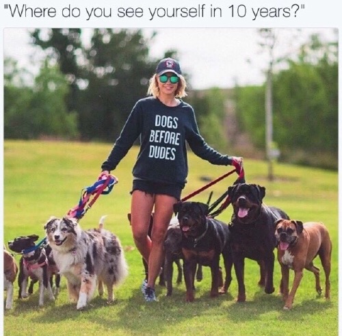 dogs before dudes meme - "Where do you see yourself in 10 years?" Dogs Before Dudes