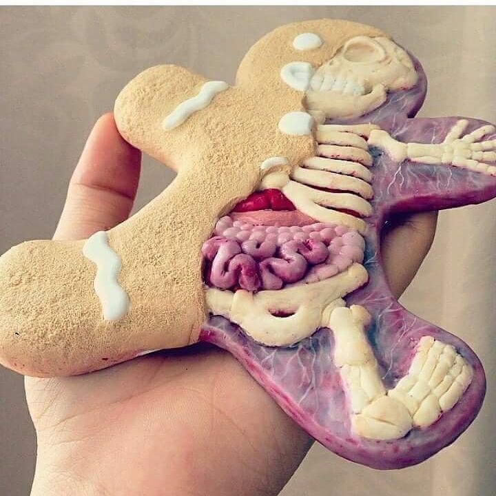 gingerbread man anatomy