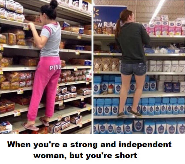 memes - can t reach the top shelf - ryday Sw Oooo Pin Oooouuuuuu loud uur When you're a strong and independent woman, but you're short