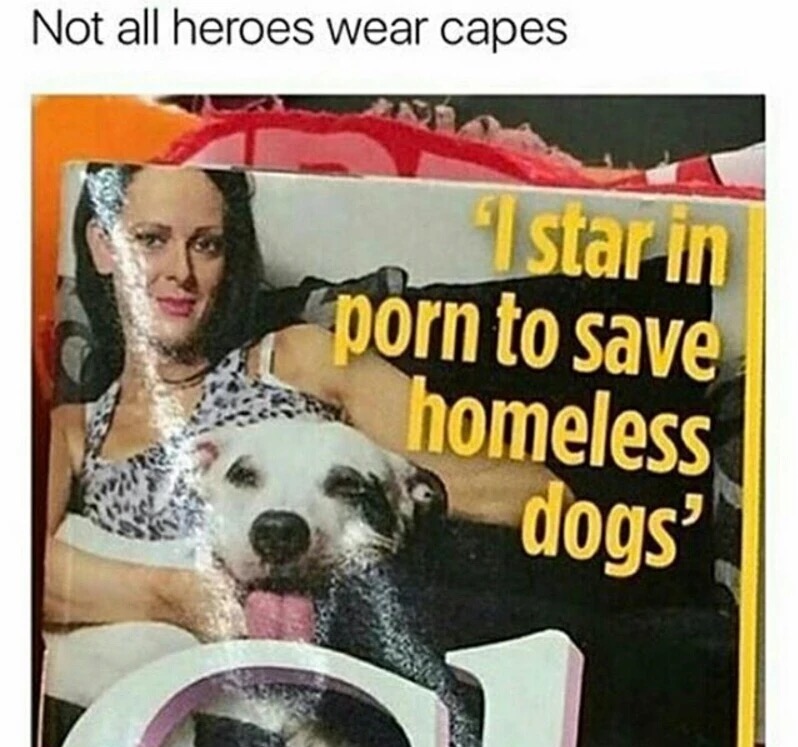 photo caption - Not all heroes wear capes star in porn to save homeless dogs'