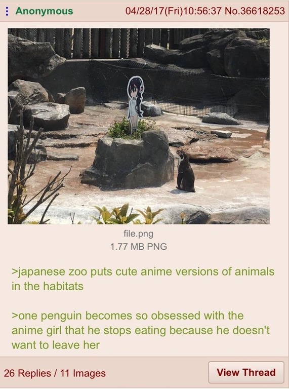 grape kun penguin - Anonymous 042817Fri37 No.36618253 file.png 1.77 Mb Png >japanese zoo puts cute anime versions of animals in the habitats >one penguin becomes so obsessed with the anime girl that he stops eating because he doesn't want to leave her 26 